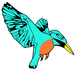 Kingfisher